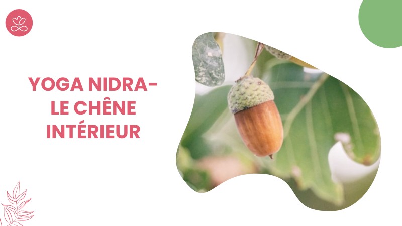 Jour 29 : Yoga Nidra - Le chêne intérieur avec Stéphane Lachance